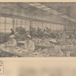 1964.05.19 - ScinteiaTineretului