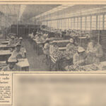 1964.05.30 - RomaniaLibera