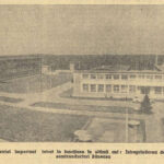 1964.11.07 - Scinteia