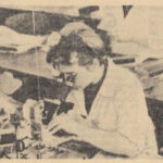 1966.09.17 - ScinteiaTineretului