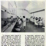 1966.11.12 - Flacara 46