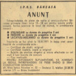 1971.11.10 - Sportul