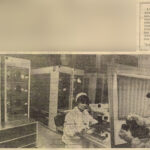 1984.11.15 - InformatiaBucurestiului