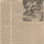 1986.11.17 - ScinteiaTineretului