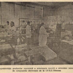 1987.02.05 - InformatiaBucurestiului