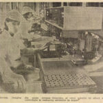 1987.02.18 - InformatiaBucurestiului