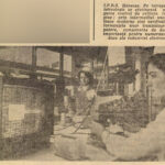 1987.04.16 - InformatiaBucurestiului