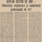 1988.02.22 - ScinteiaTineretului