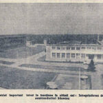 327901750_575938641051384_8068465609816582113_n