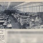 329860138_847131406380986_6327129365136302454_n